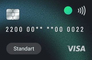 Pay2.House Standard Virtual Card logo